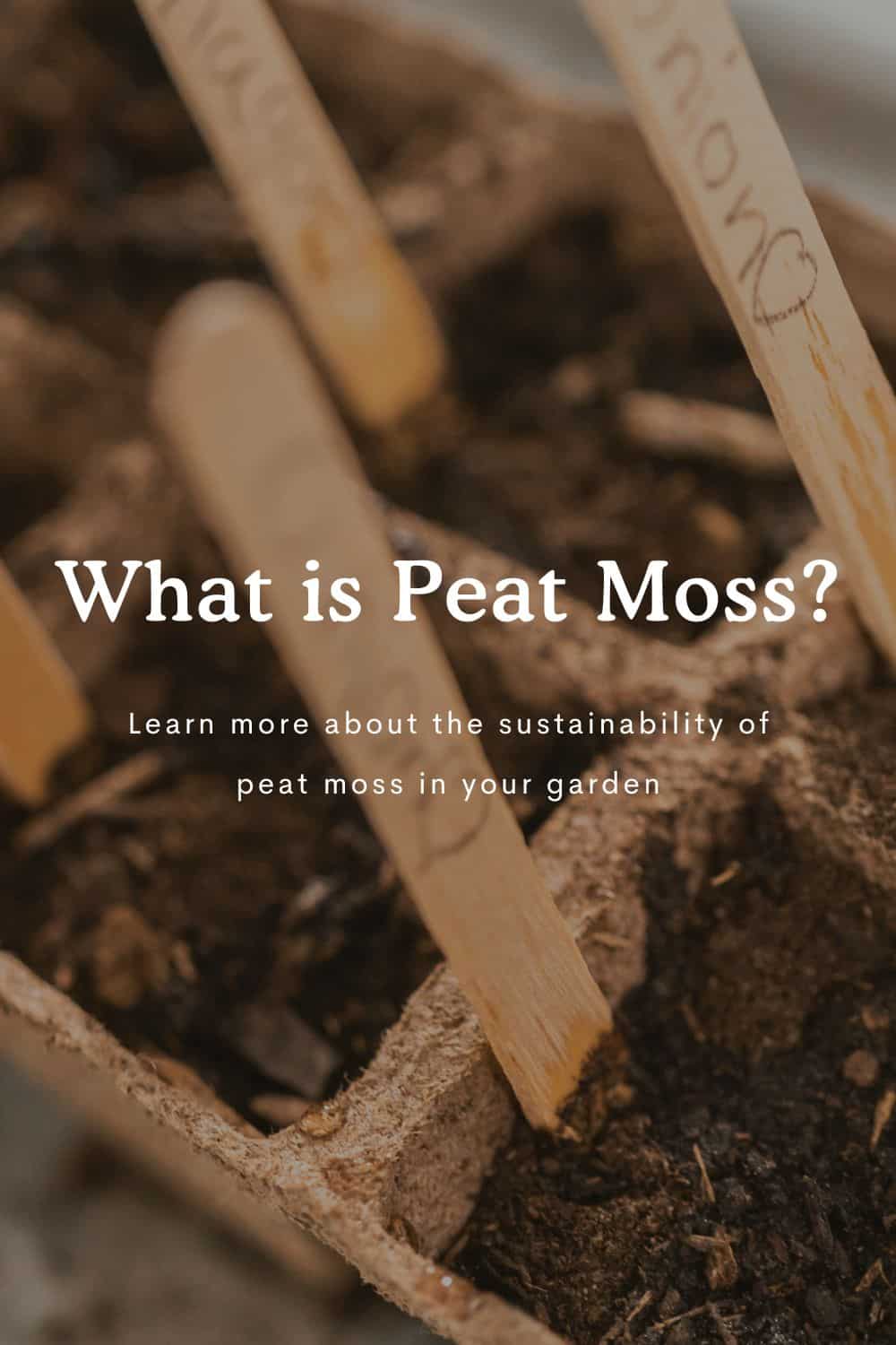 What is Peat Moss? What Are More Sustainable Options to Use